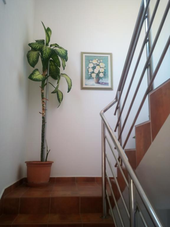 Apartmani Kapitanovic 비오그라드나모루 외부 사진