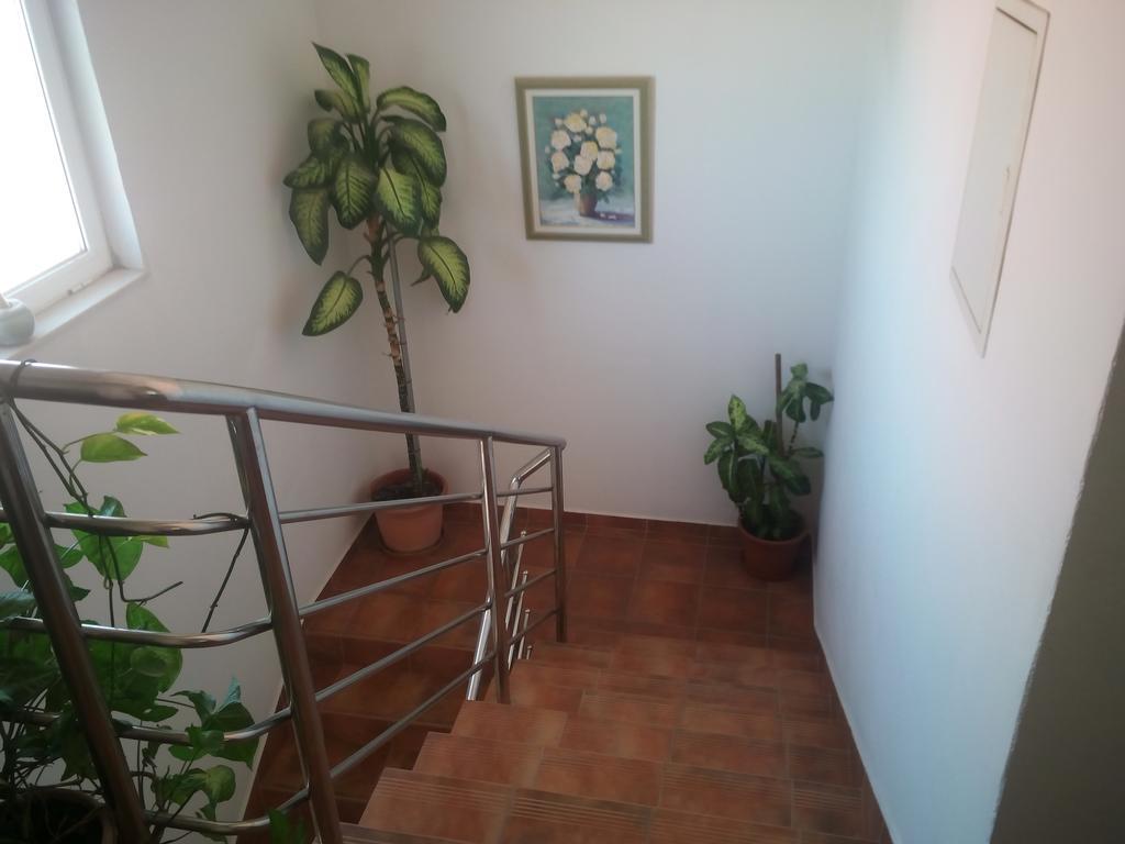Apartmani Kapitanovic 비오그라드나모루 외부 사진