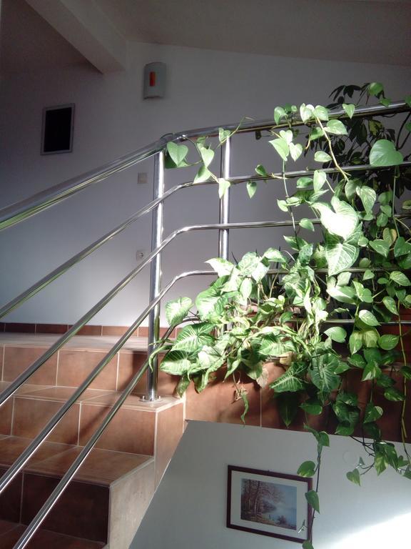 Apartmani Kapitanovic 비오그라드나모루 외부 사진